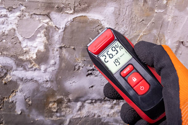 Best Crawl Space Mold Removal  in Richton Park, IL